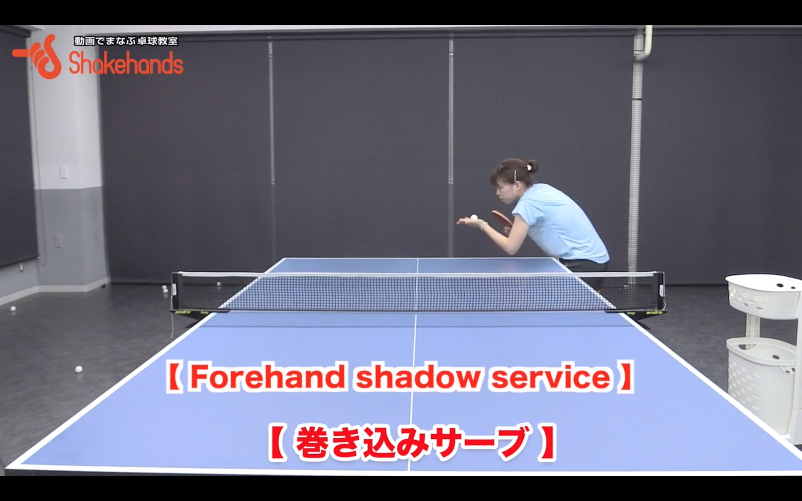 FH shadow SV